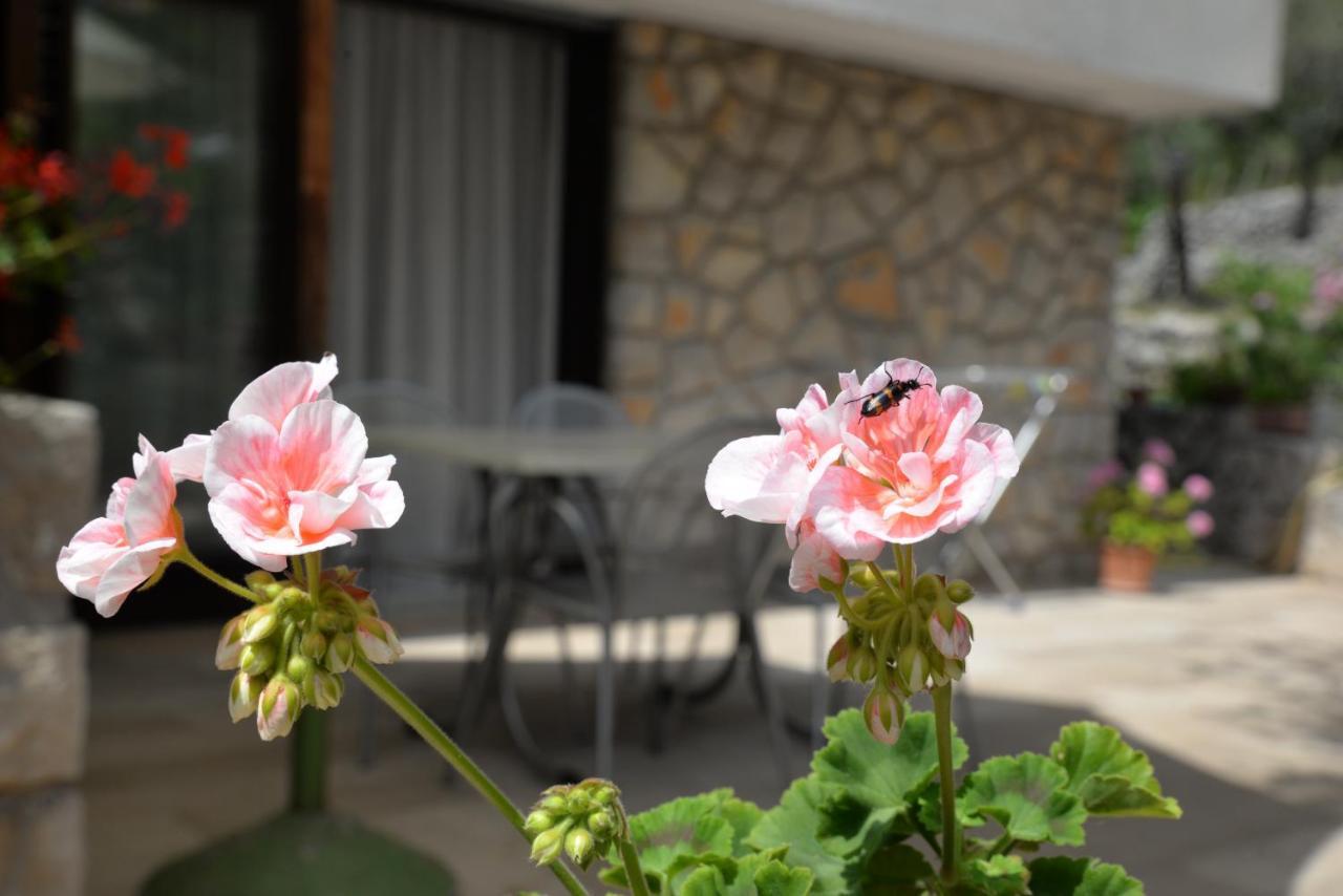 Apartments Palma & Pino 크레스 외부 사진