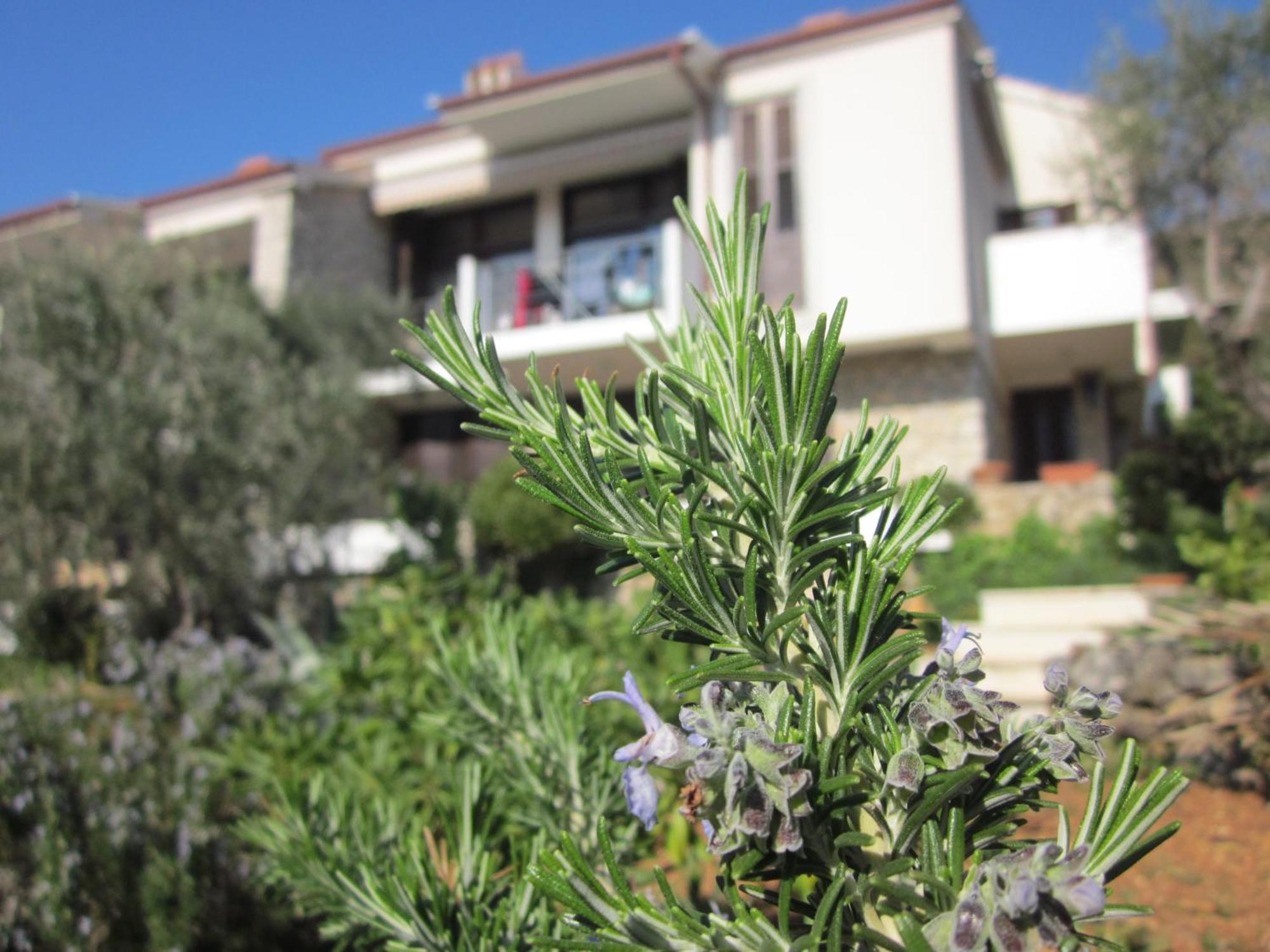 Apartments Palma & Pino 크레스 외부 사진